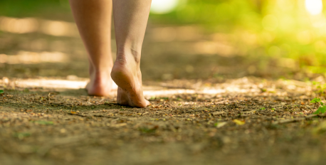 Bare feet walking on a dirt path in a sunny forest, practicing grounding.
