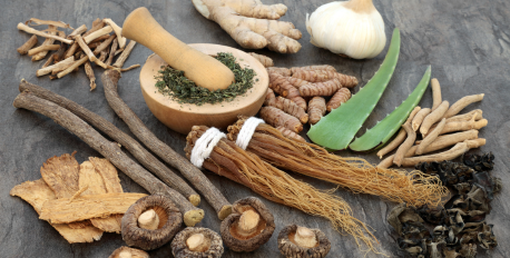 An assortment of adaptogenic herbs, roots, and mushrooms on a slate background