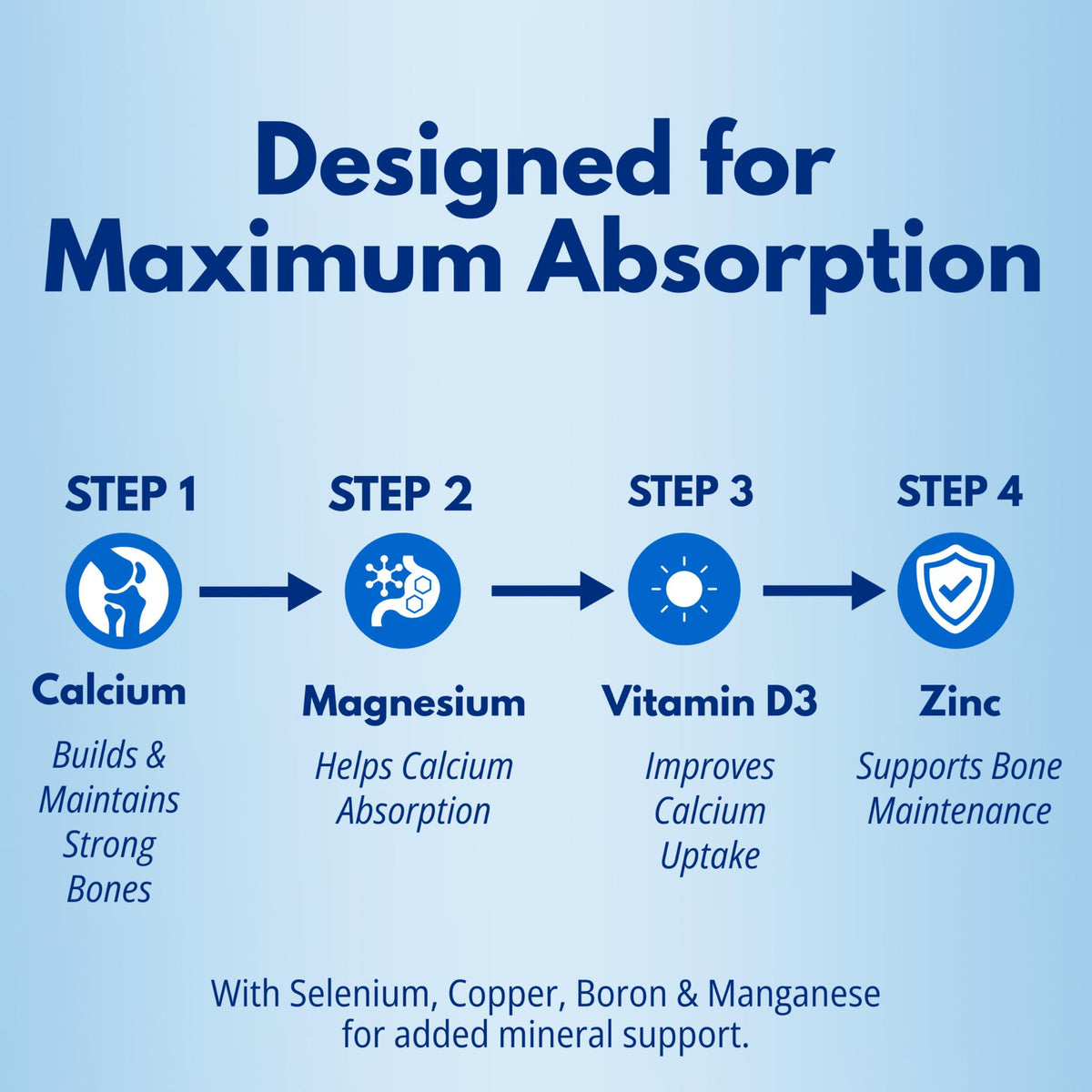Four-step absorption guide for Total Bone with Calcium, Magnesium, Vitamin D3, and Zinc.