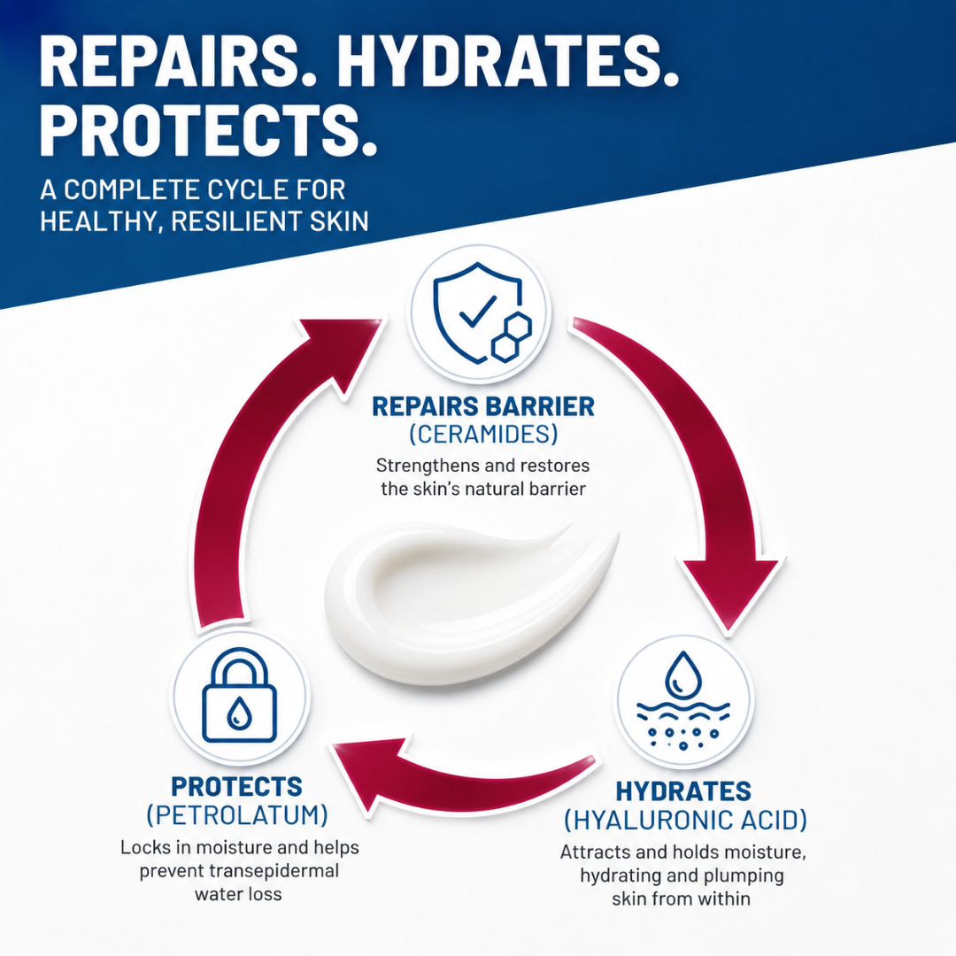 Infographic showing a circular cycle of ointment benefits: repairing with ceramides, hydrating with hyaluronic acid, and protecting with petrolatum.