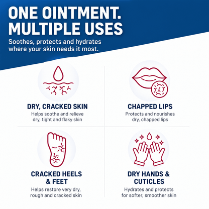 Infographic showing SkinRepairX uses for dry skin, chapped lips, cracked heels, and dry hands with red icons on white.