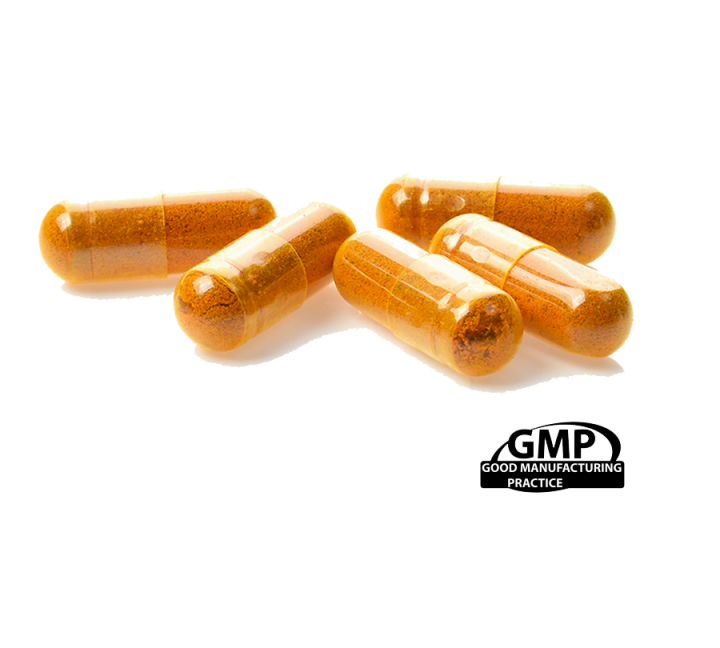 Orange capsules on a white background with 'GMP Good Manufacturing Practice' logo.